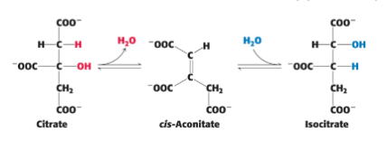 <p>DEFINE: Step 2</p>