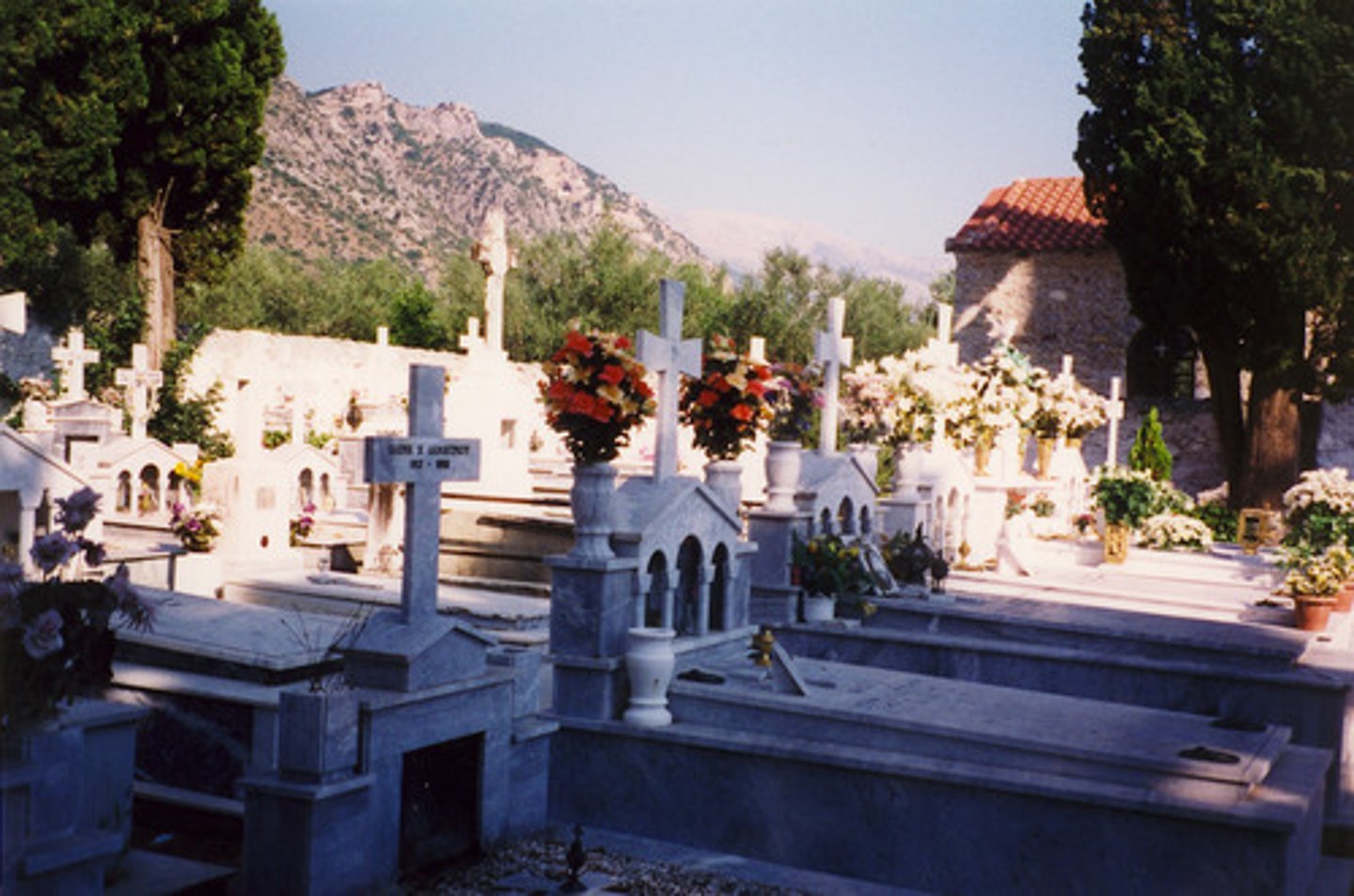 <p>the cemetery</p>