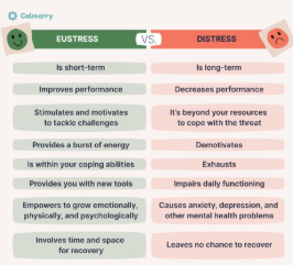 <ol><li><p>Distress</p></li><li><p>Eustress</p></li></ol><p></p>
