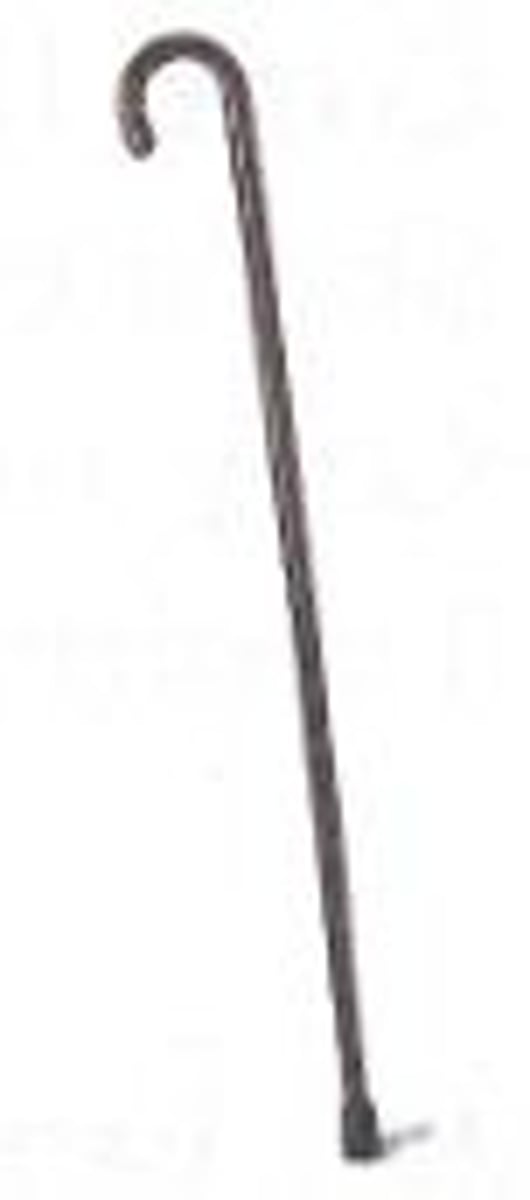 <p>to use a cane</p>