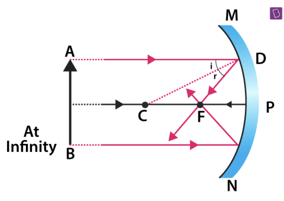 <p><strong><u>Bend inward </u>and are bowl-shaped, obeys the law of reflection</strong> and produces a <strong>reflected image <u>larger than the object </u>(magnifies)</strong></p>