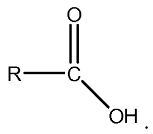 <p>It is a long carbon chain (usually 16 or 18)with carboxyl group at one end which gives it the name fatty acid.</p>