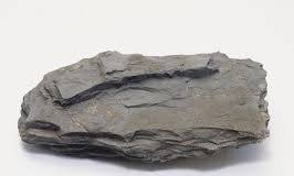 <p>Typically gray in color, and is a clastic rock. This rock is a softer sedimentary rock, and is formed from mud or silt.  </p>