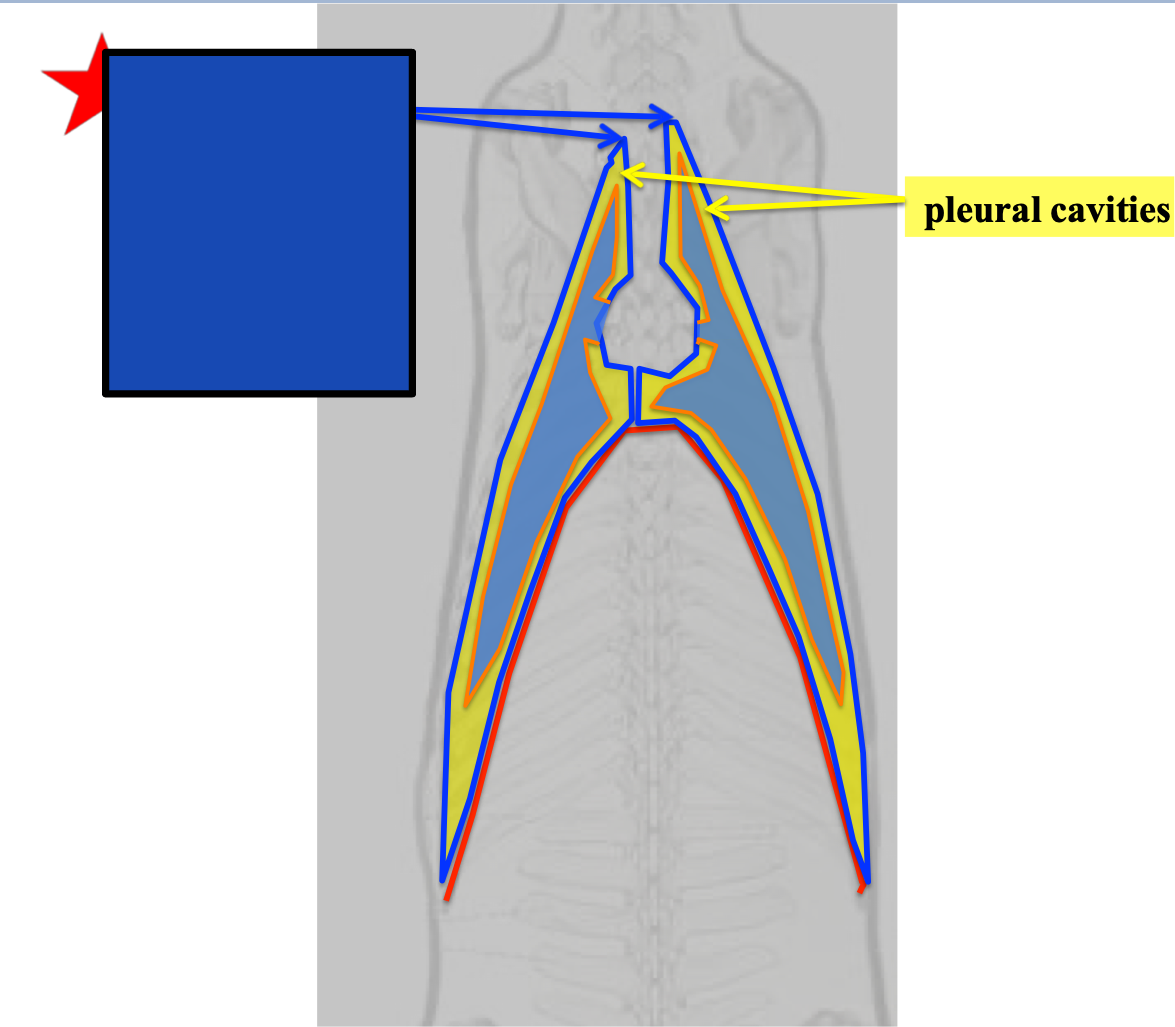 <p>What does the blue box refer to?</p>