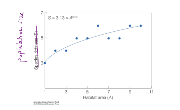 <p>How does population size change with habitat area?</p>