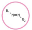 <p>Which functional group is shown? (R = rest of molecule, X = any halogen)</p>