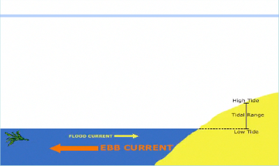 <p><em><span style="font-family: Calibri, sans-serif">…. tide </span></em><span style="font-family: Calibri, sans-serif">occurs when the lowest part of the wave, or its trough reaches the coast.</span></p>