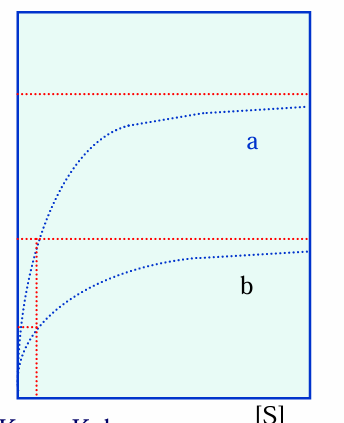 <p>co przedstawia wykres</p>