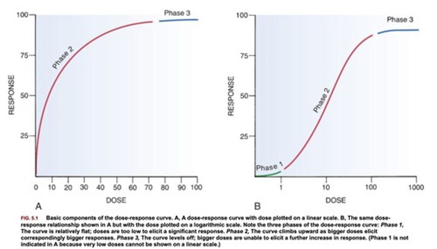 <p>1 - few target cells being affected by the drug</p><p>2 - linear relationship between amount of drug administered and degree of client response</p><p>3 - plateau, increasing dose has no therapeutic effect. may produce adverse effects</p><p>look only on second chart</p>