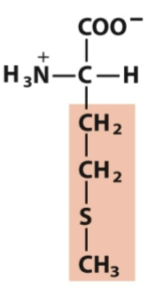 <p>Nonpolar, aliphatic</p>
