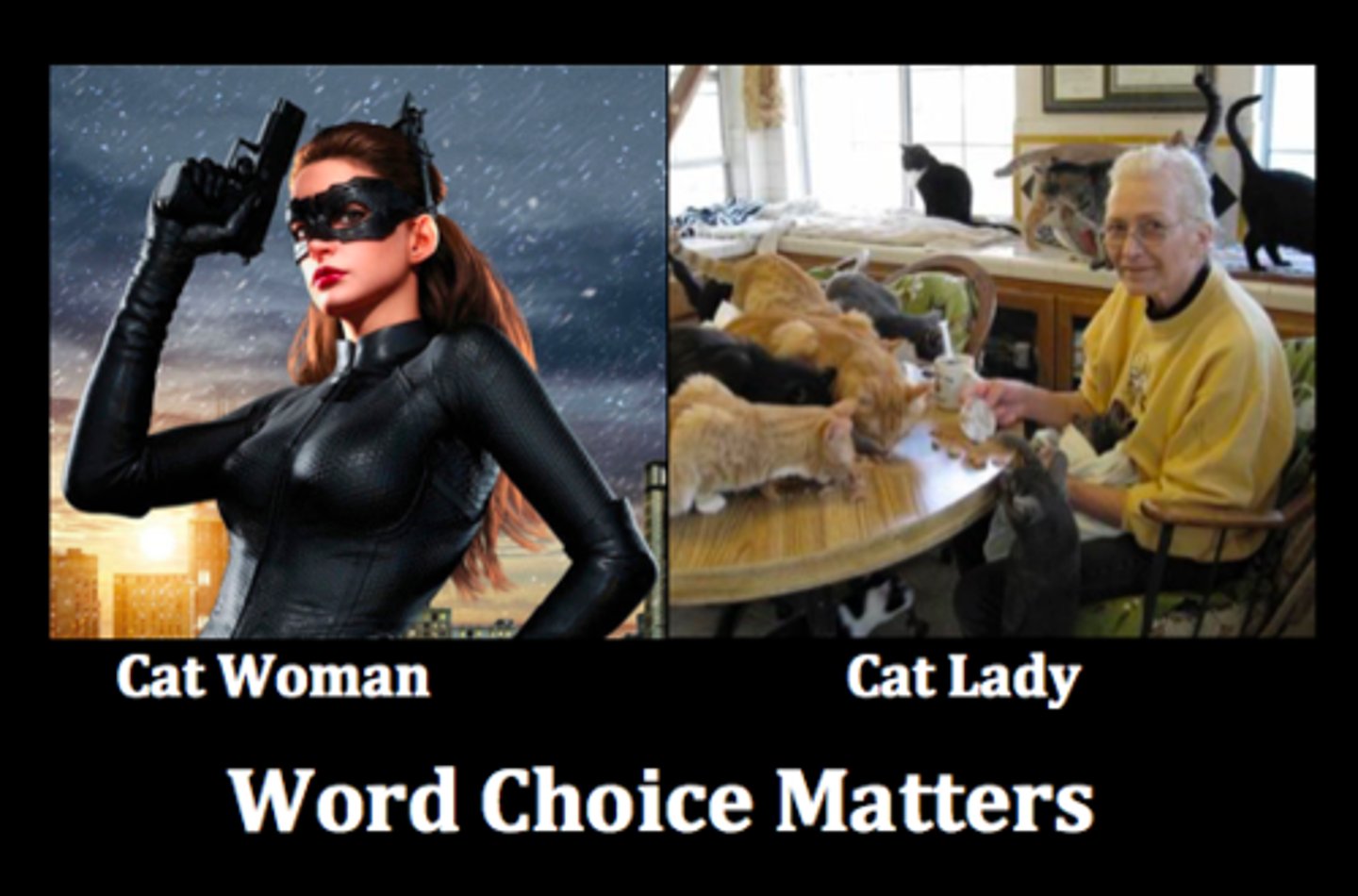 <p>A writer's or speaker's choice of words</p>