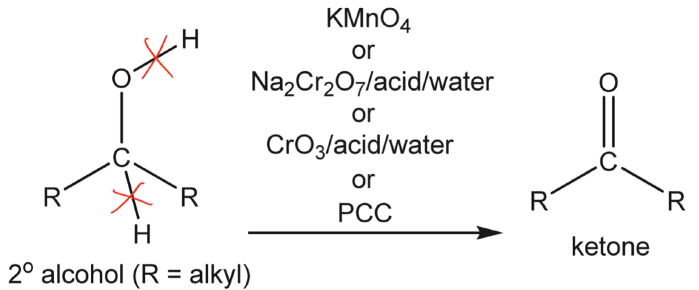 <p>Description of reaction and mechanism</p>