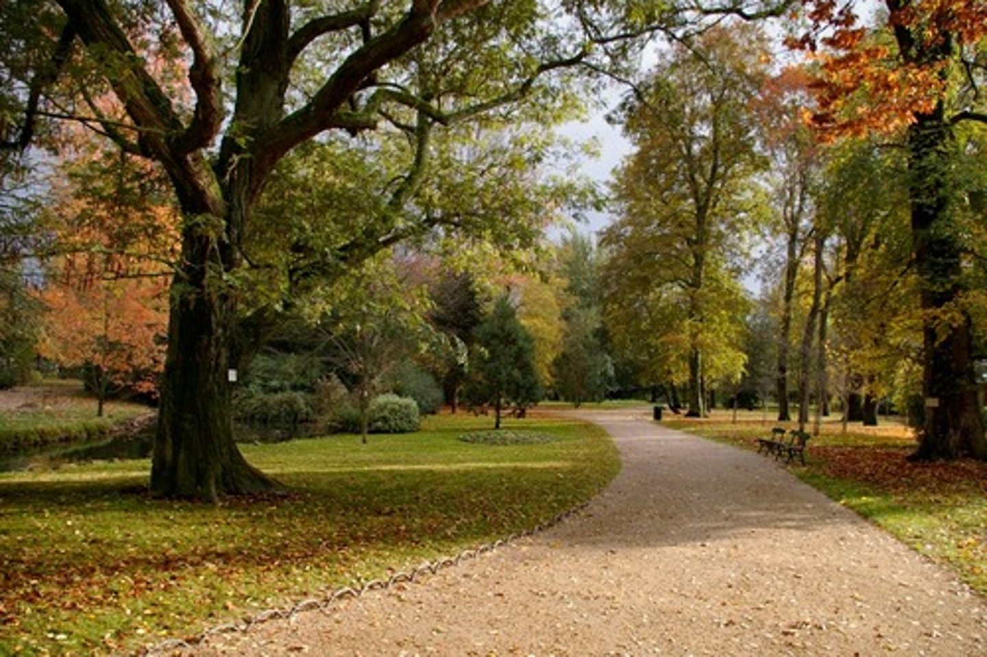 <p>het park</p>