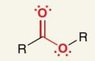 <p>What is the name of this functional group?</p>