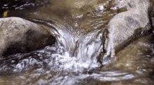 <p><u>Without</u> some sort of mitigation runoff will ________ (enter/leave) a body of water.</p>