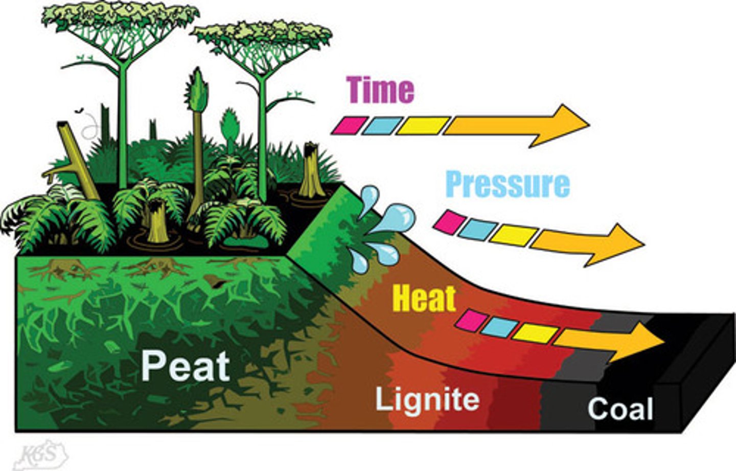 <p>comes from dead organisms on land(trees from the carboniferous era)</p>