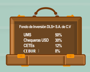 <p>Son aquellos FIID especializados en en Divisas y Títulos en otras monedas (UMS, chequeras en USD). (En la imagen se ve un ejemplo).</p><p>El FI DLS+ al invertir al menos 80% en títulos en USD se considera un Fondo de Cobertura cambiaria, puede ser en USD o con cualquier otra divisa. </p>