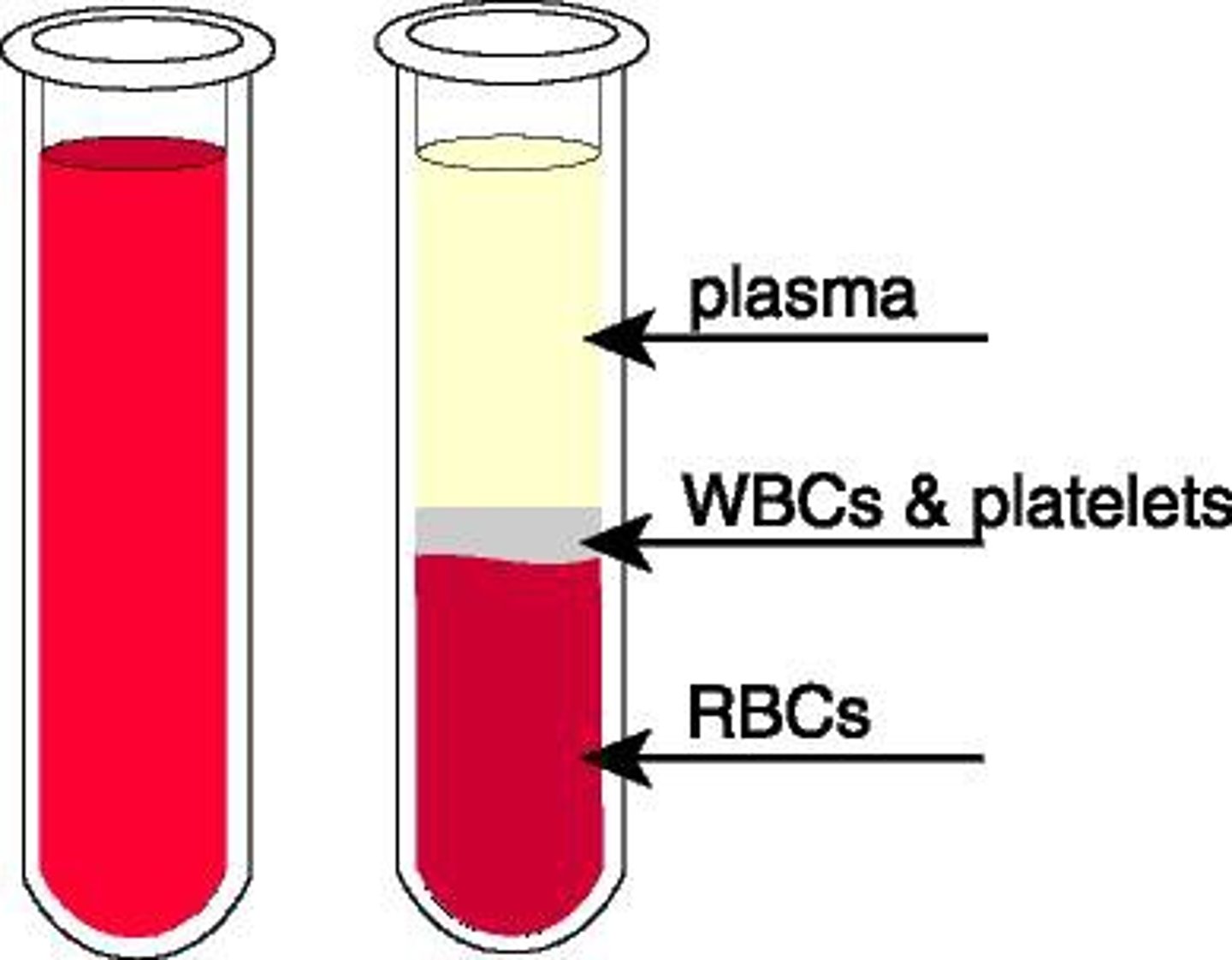 <p>cells and cell fragments</p><p>- Red blood cells (erythrocytes)</p><p>- White blood cells (leukocytes)</p><p>- Platelets</p>
