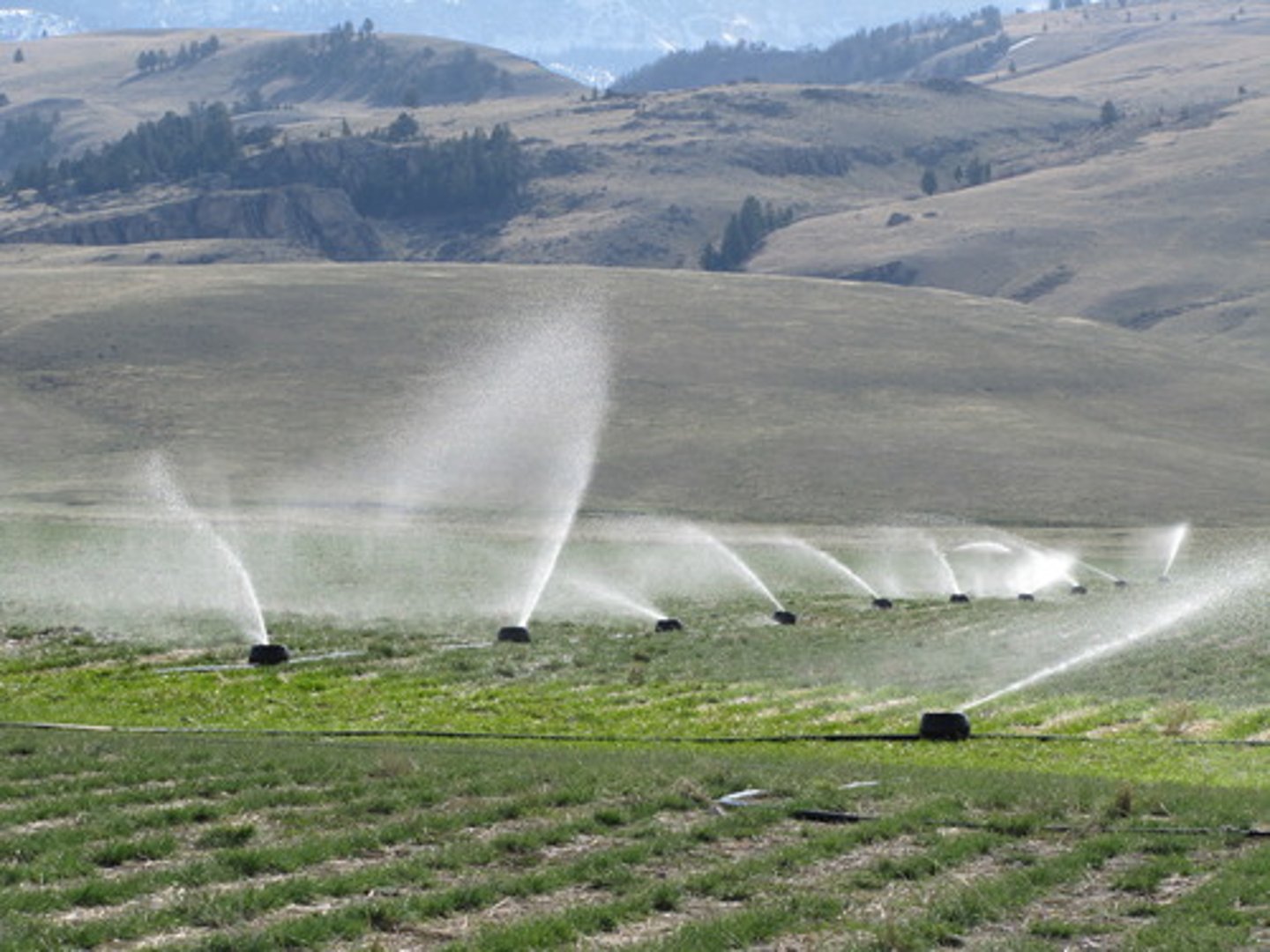 <p>to supply land with water so that crops and plants will grow<br>Eg: The farmers in our study area, as is common in areas irrigated by electric pumps with free or fixed power cost, use acreage-based water rates</p>