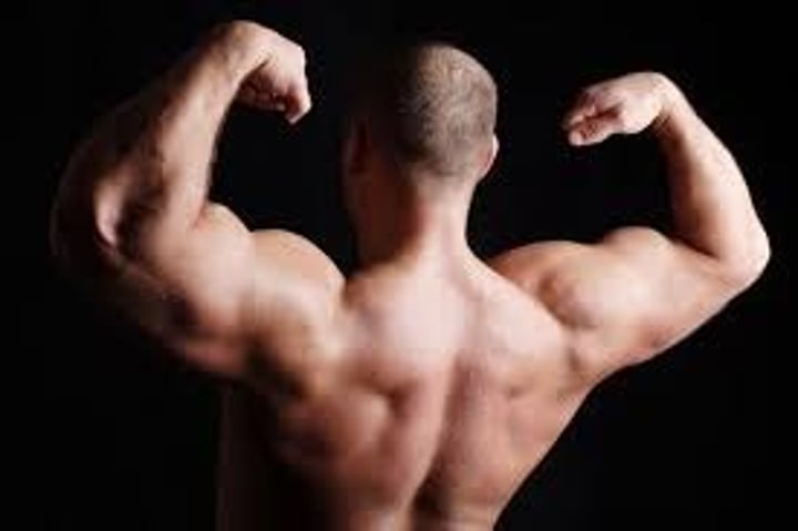 <p>muscular strength</p>
