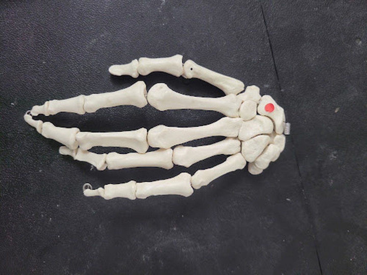 knowt flashcard image