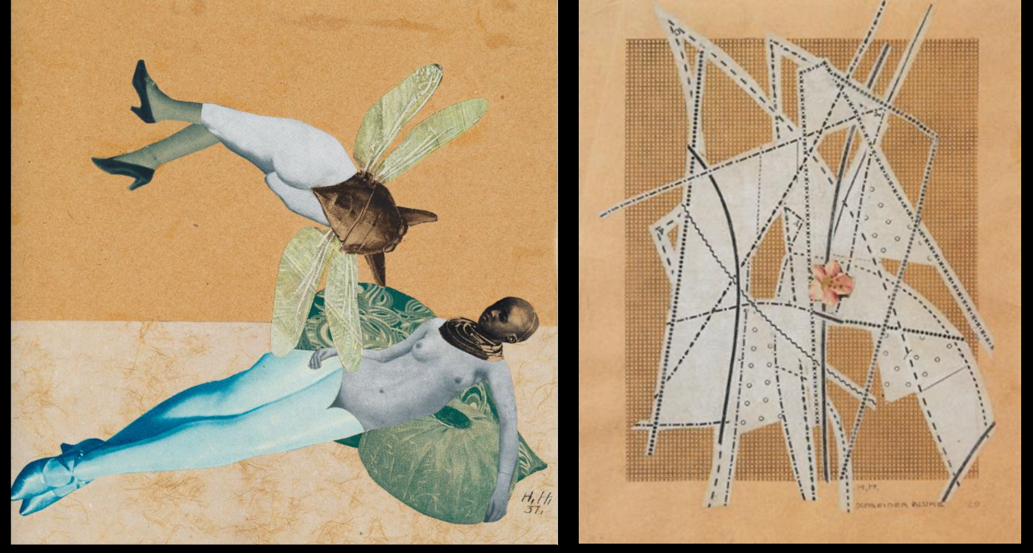 Love & The Tailors Flower, Photomontages