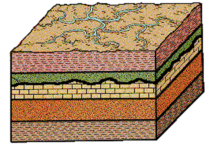 <p>What kind of unconformity is this?</p>