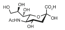 <p>Identify</p>
