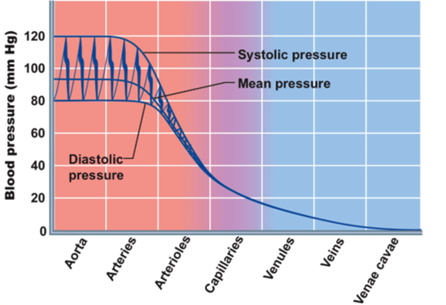 <p>40-20mmHg</p><p>As blood travels through capillaries towards venules the pressure drops</p><p>This low pressure is important bc of how flimsy and small the vessel is</p>