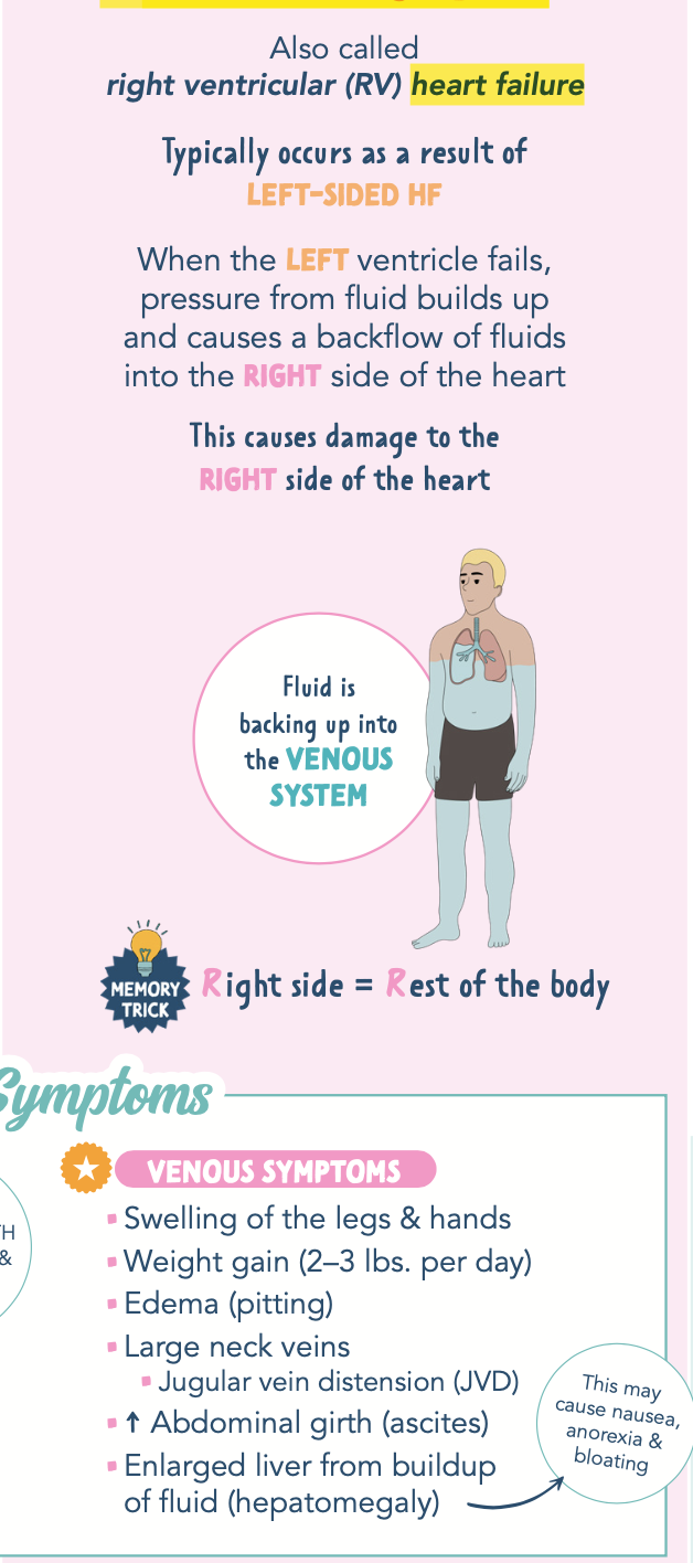 <p>Usually occurs secondary to left-sided heart failure, May also be caused by cor pulmonale (pulmonary heart) or right ventricular myocardial infarction</p><ul><li><p>Cor pulmonale: when a lung issue causes your right ventricle (heart chamber) to get so big that your heart starts to fail</p></li><li><p>When the right ventricle fails, blood backs up into the right atrium and to the venous systemic circulation</p></li><li><p>Can lead to systemic congestion and peripheral edema/ascites</p></li><li><p>Increased pressure of blood back flow causes jugular vein distention, hepatomegaly, and splenomegaly</p></li></ul><p></p>