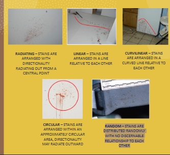 <p>Refer to Picture </p>
