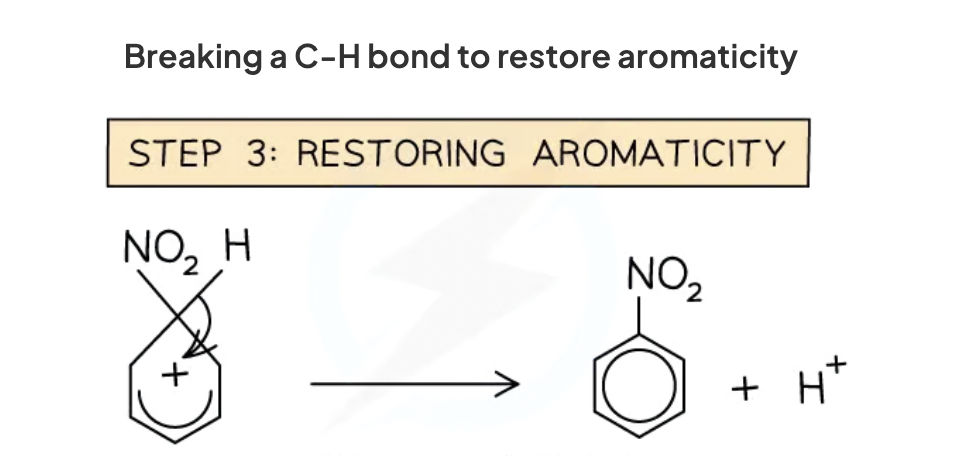 <p>heterolytic cleavage of c-h bond. so electrons in the bond go back to pi bond system. </p>