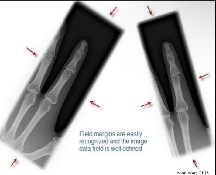 <p>What is this image showing?</p>
