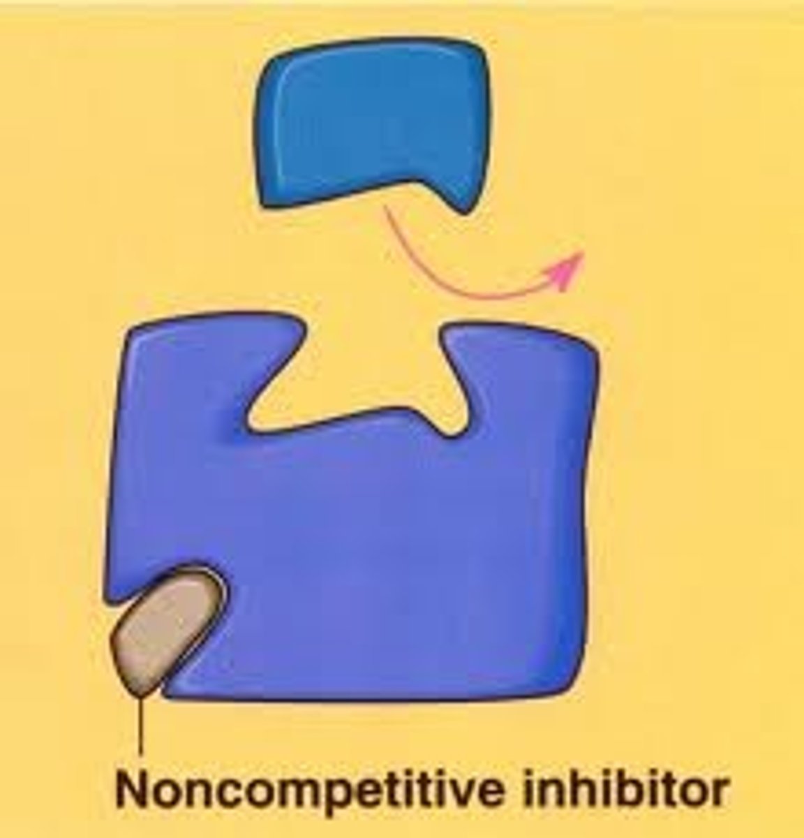 <p>An inhibitor which works by binding to the enzyme at a site away from the active site which causes the active site to change shape.</p>