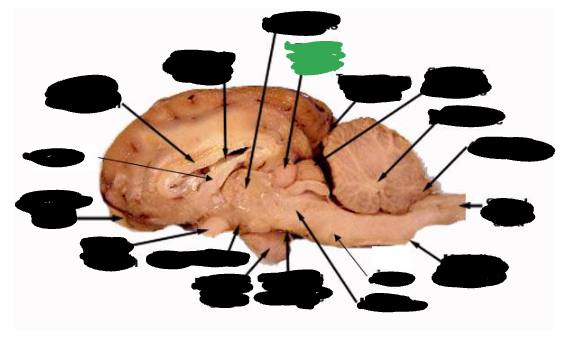 <p></p>