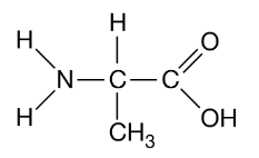 <p>Figure 1. A biological molecule monomer</p><p>The above monomer in Figure 1 is found in a region of a polypeptide. Which of the following form the basic structure of a biological molecule in figure 1? <strong>select two.</strong></p>