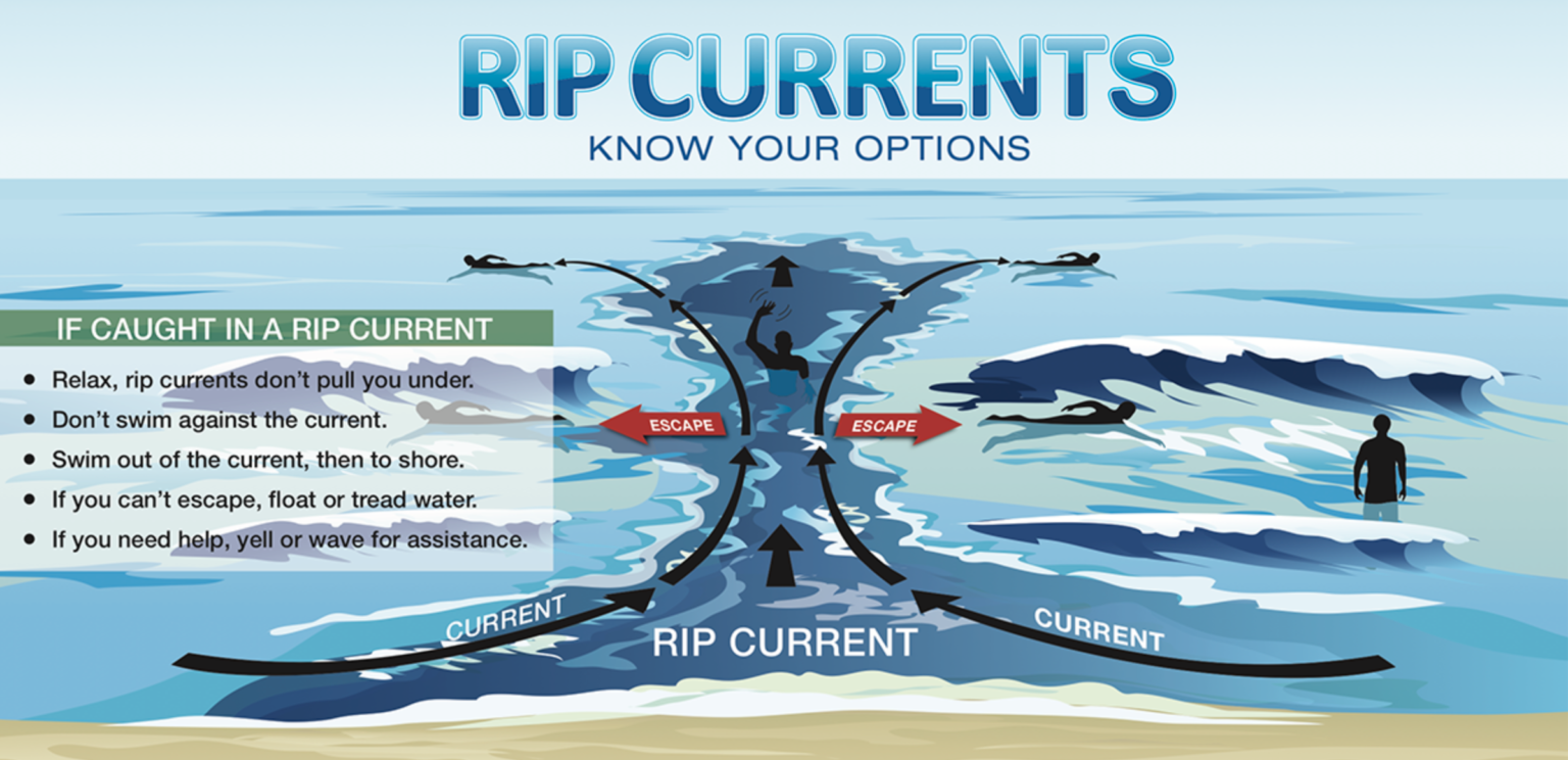 <p>A narrow current moving from the beach to the ocean that can be dangerous.</p>