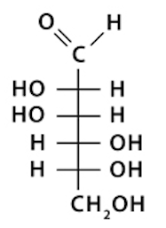<p>What is the name of this structure?</p>