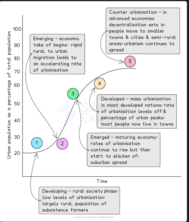 <p>1 - Developing rural society phase where there is low levels of urbanisation and largely rural population of subsistence farmers</p><p>2 - Emerging economic take of begins rapid rural to urban migration leads to an accelerating rate of urbanisation</p><p>3 - Emerged maturing economy rate of urbanisation continue to rise but start to slacken (suburban spread)</p><p>4 - Develop mass urbanisation rate of urbanisation levels off and percentage of urban peaks most people live in towns</p><p>5 - Counter urbanisation in advanced economies decentralisation sets in people move to smaller towns and cities and semi rural areas urbanism continues to spread</p>