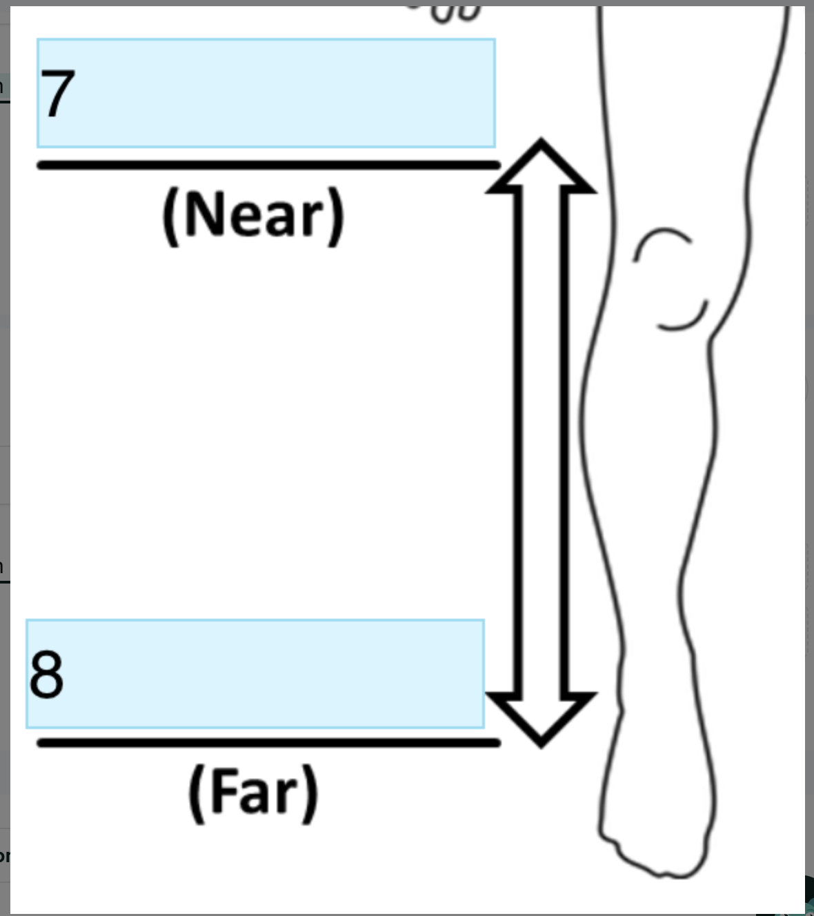 <p>Identify Directional term In 8</p>