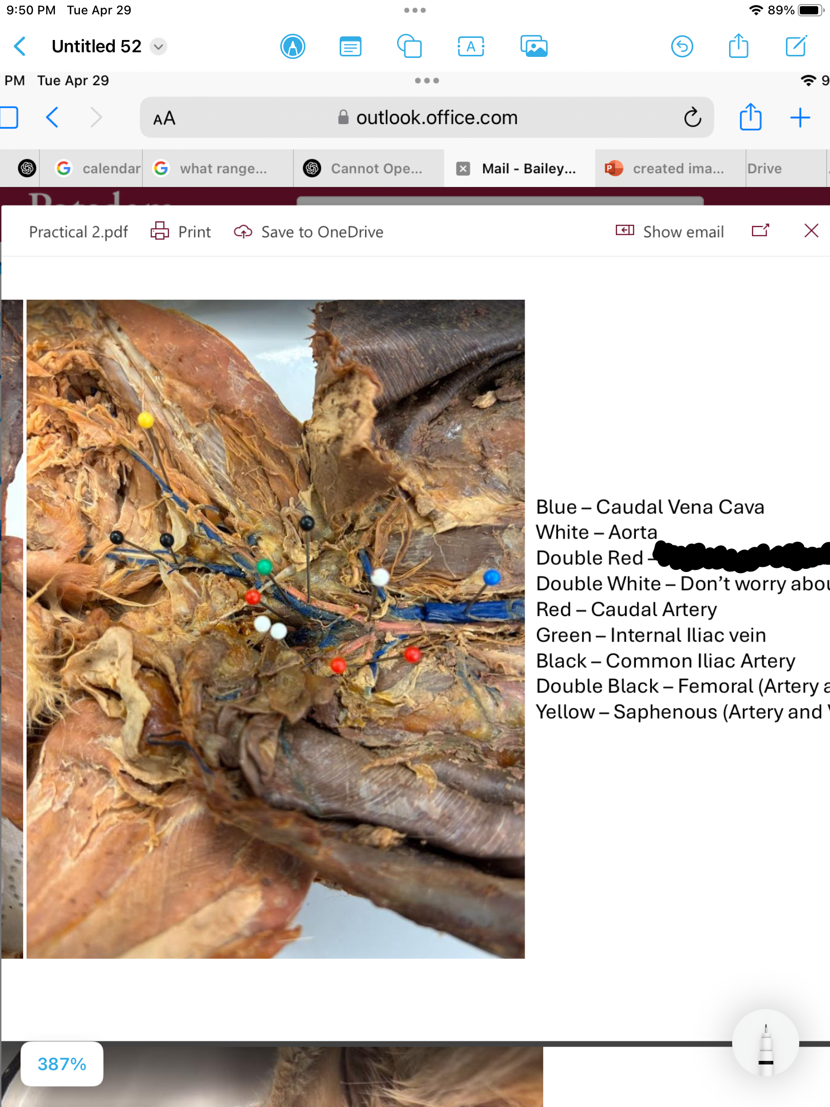 <p>label the area</p>