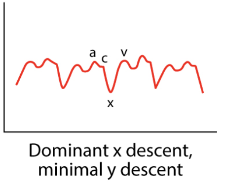 <p></p>