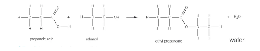 <ul><li><p>alcohol + carboxylic acid → ester + water (with conc. sulphuric acid catalyst) </p></li></ul><p></p>
