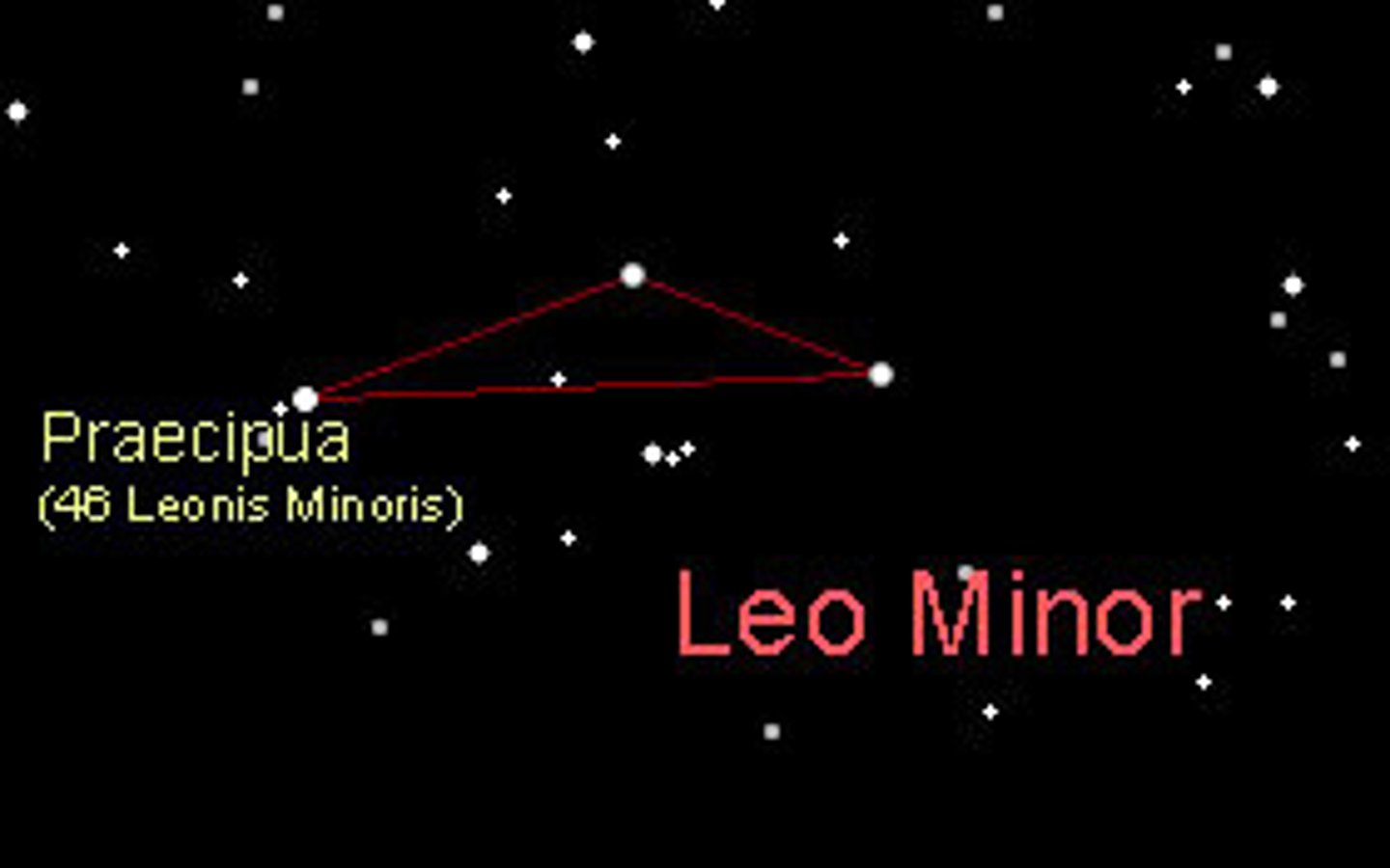 <p>little lion / brightest star: Praecipua or o LMi</p>