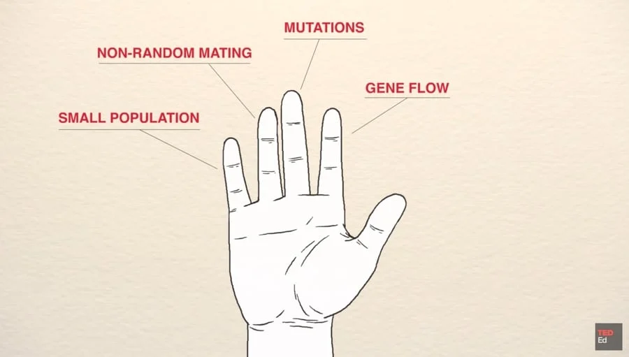 <p>+thumb is natural selection </p><p></p>