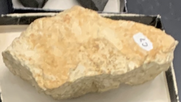 <p>C7</p>