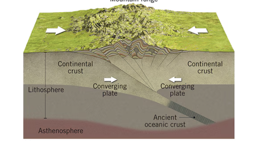 <p>suturing, crusts too buoyant to subduct, shallow EQ’s are common, Himalaysan mountains</p>