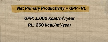 <p>Unit 1: 1.8 Primary Productivity</p><p>Practice problem </p>