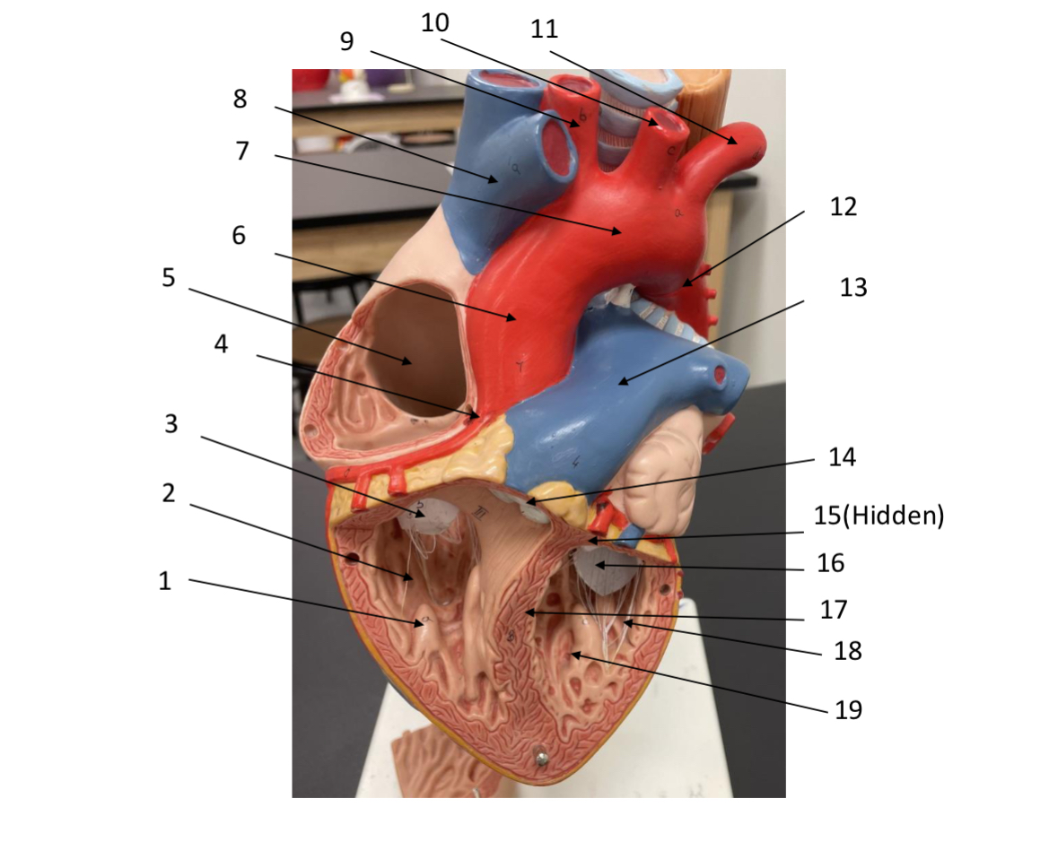 <p>4?</p>