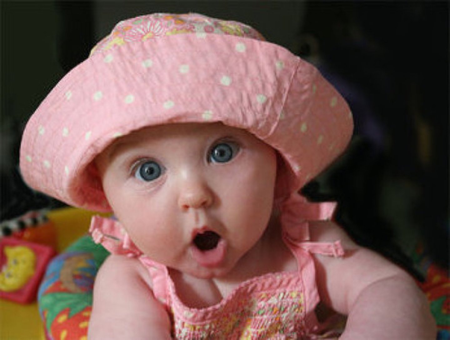 <p>sorprender</p>